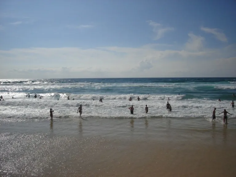 Photo de Plage du Vivier