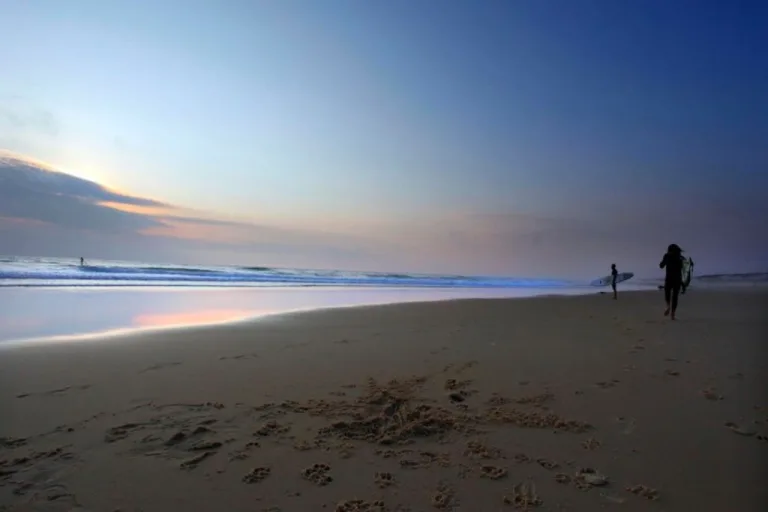 Photo de Plage du Vivier