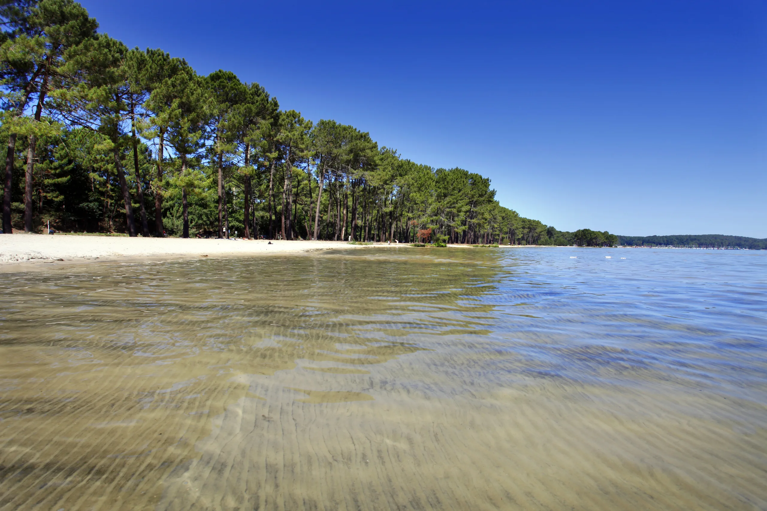 Plage de Maguide Biscarrosse