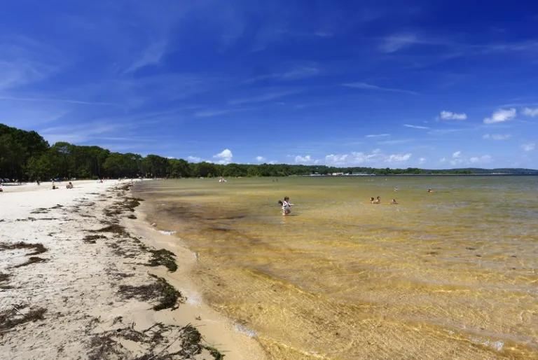 Photo de Plage de Navarrosse