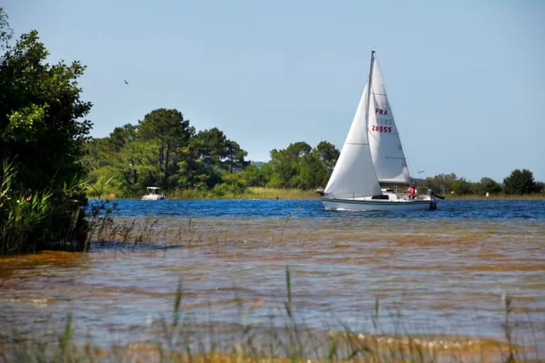 Photo de Plage de Navarrosse