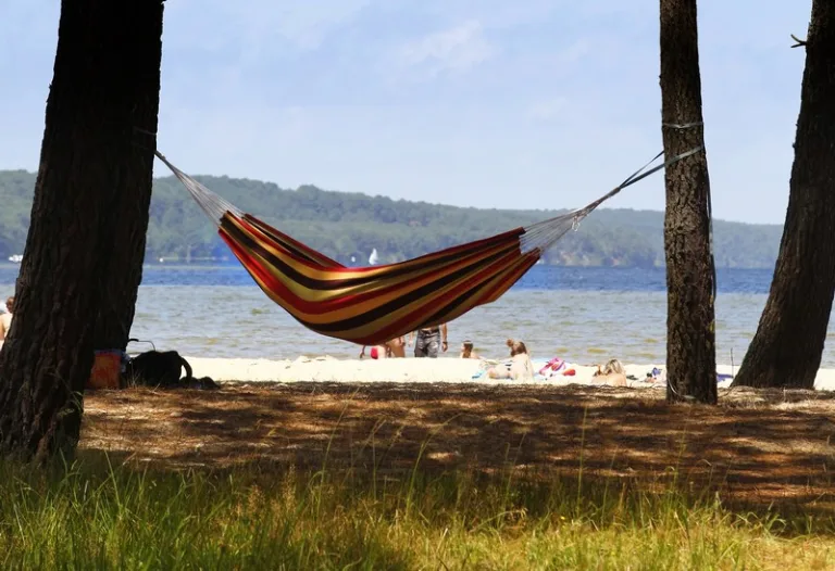 Photo de Plage de Navarrosse