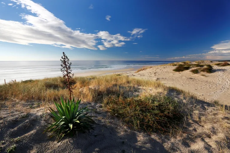 Photo de Plage du Vivier