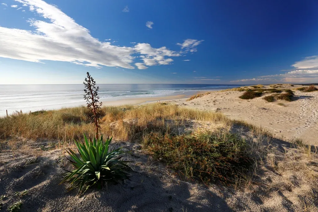 Plage du vivier Biscarrosse