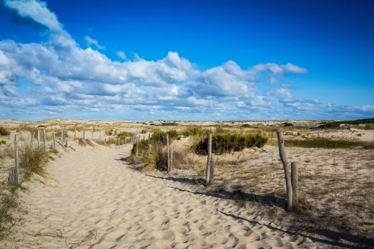 Photo de Plage du Vivier