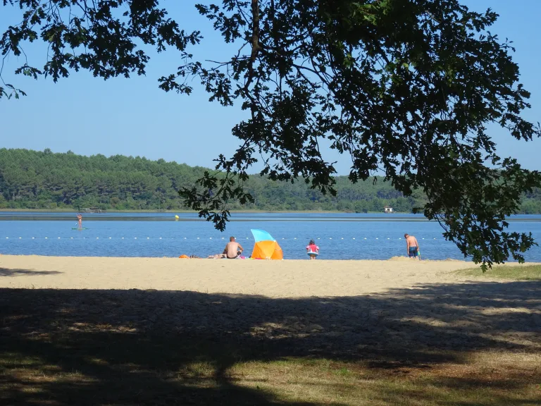 Photo de Plage de Sainte Eulalie en Born