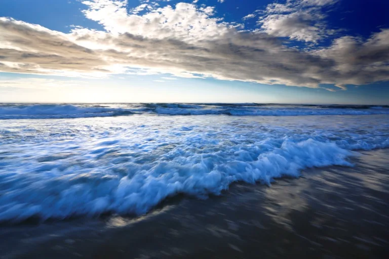 Photo de Plage du Vivier