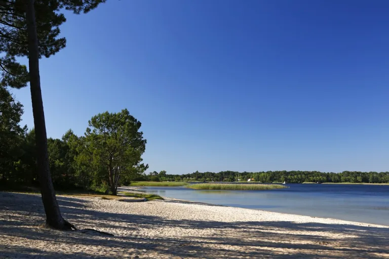 Photo de Plage du Pavillon