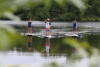 Photo de Ecole Française de surf Max Respect Contis