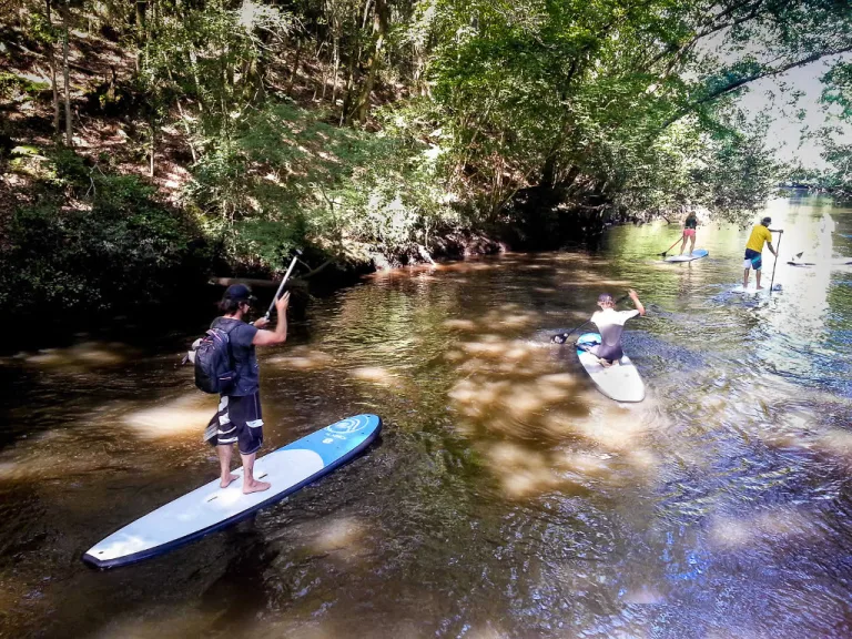 Photo de Ecole Française de surf Max Respect Contis