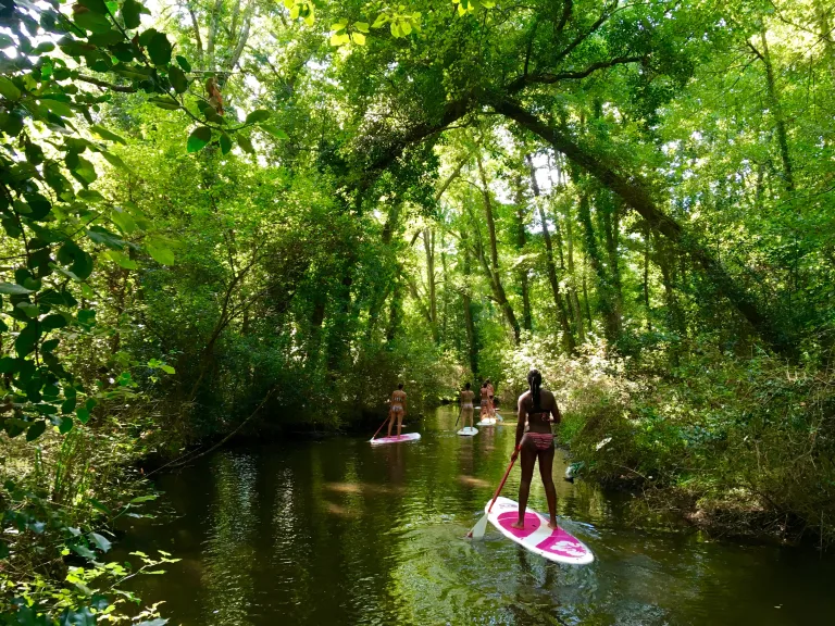 Photo de Naéco Ecole Multiglisse Surf – Waveski – Sup – Pirogue hawaïenne