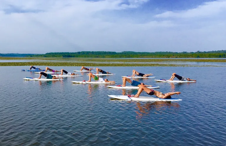 Photo de Naéco Ecole Multiglisse  Surf – Waveski – Sup – Pirogue hawaïenne