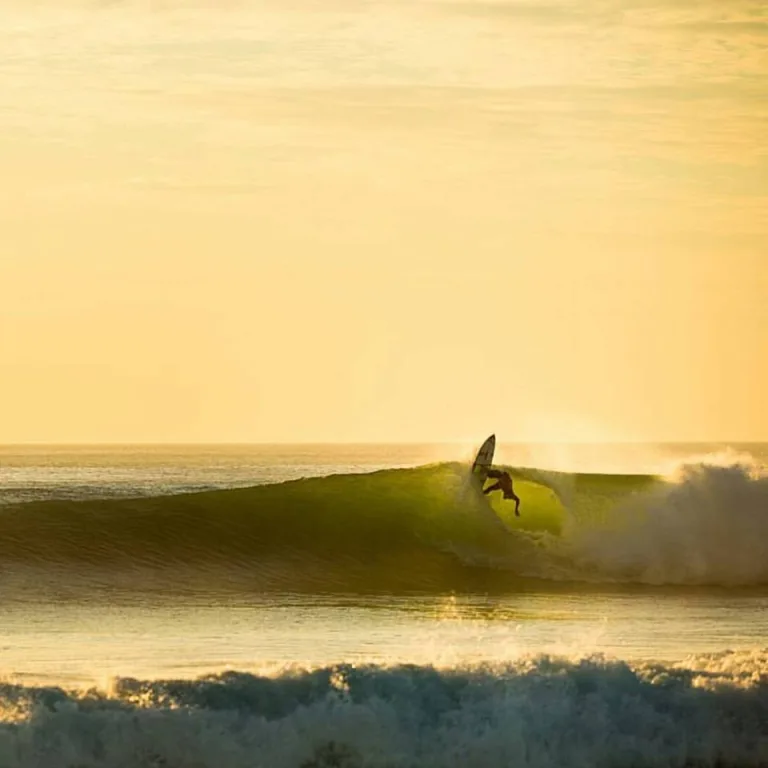 Photo de Vive le surf