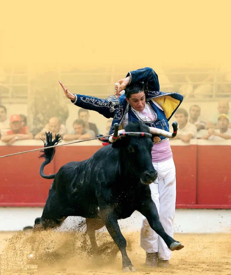 Photo de Course landaise