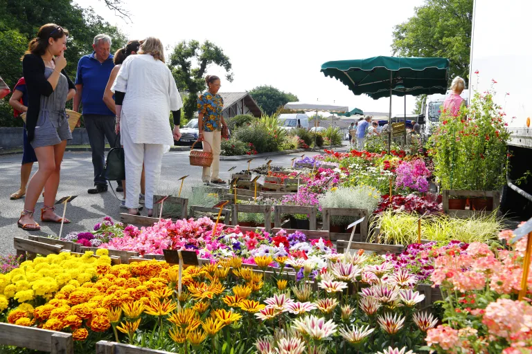Photo de Les marchés de Bisca Grands Lacs