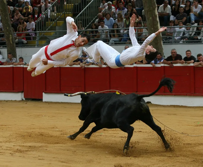 Photo de Course landaise