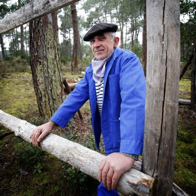 Photo de Visite du Sentier des Résiniers