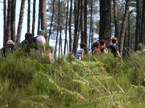 Photo de Randonnée pédestre « Le circuit du moulin de Binaou »