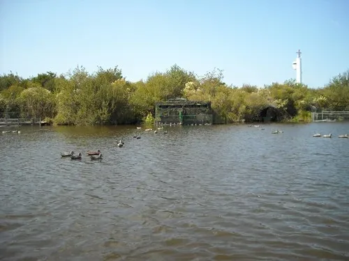 Photo de Sortie nature accompagnée autour de l’étang