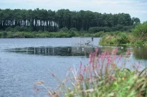Photo de Sortie nature accompagnée autour de l’étang