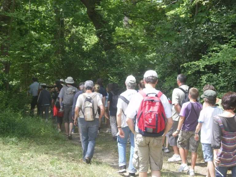 Photo de Balade pédestre guidée