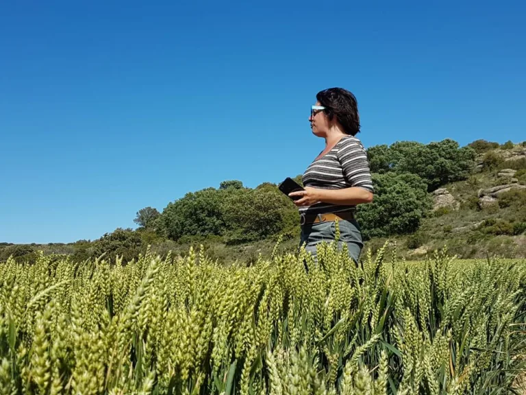 Photo de Balade pédestre guidée