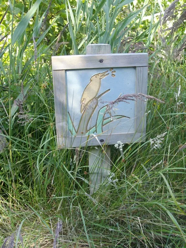 Photo de Sortie nature accompagnée autour de l’étang