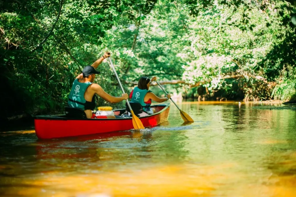 Canoe kayak sur la rivière de la Leyre