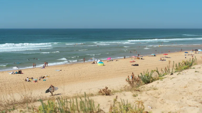 Photo de Plage de la Lette Blanche