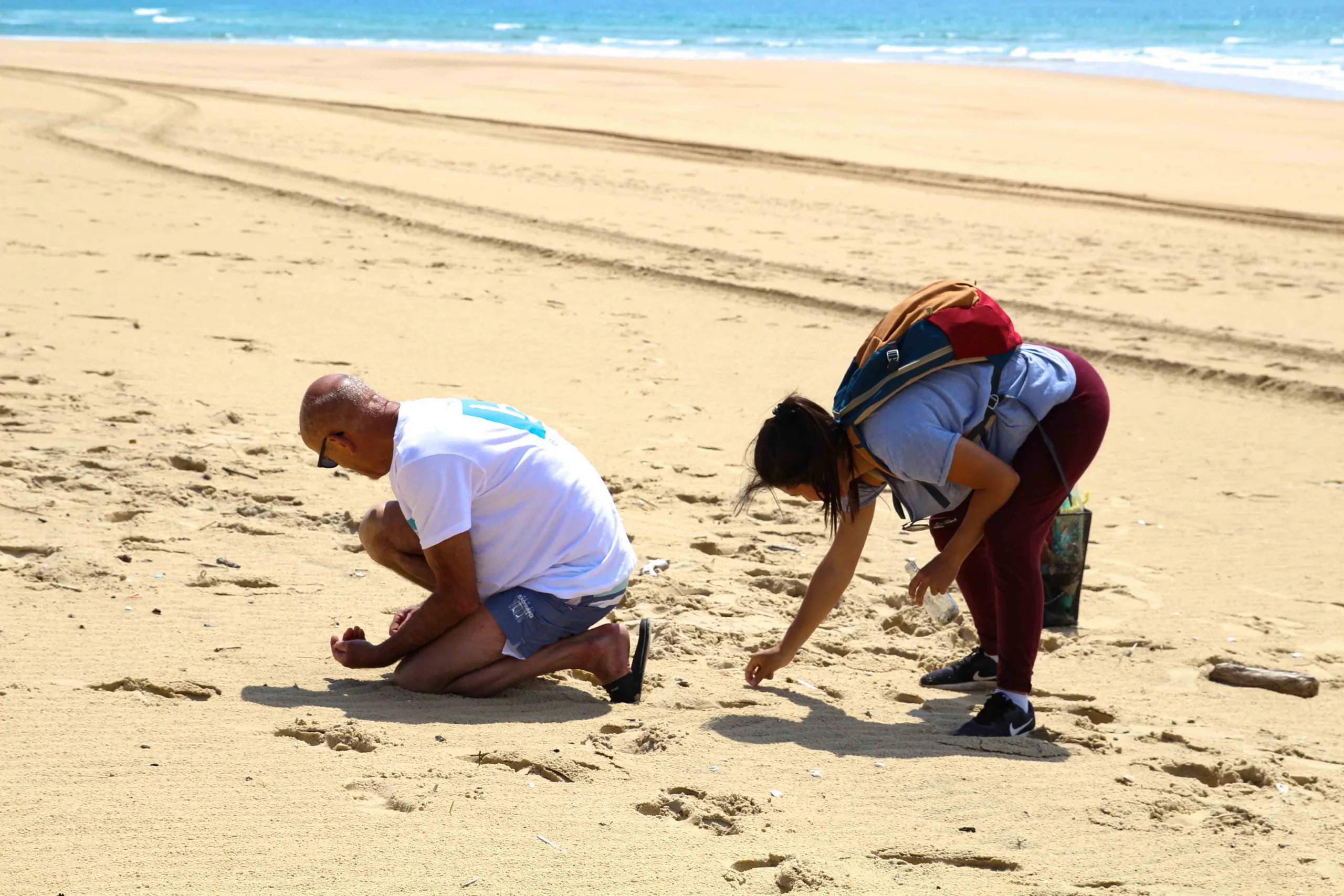 Nettoyage des plages dans les Landes : ramassages manuels et mécaniques