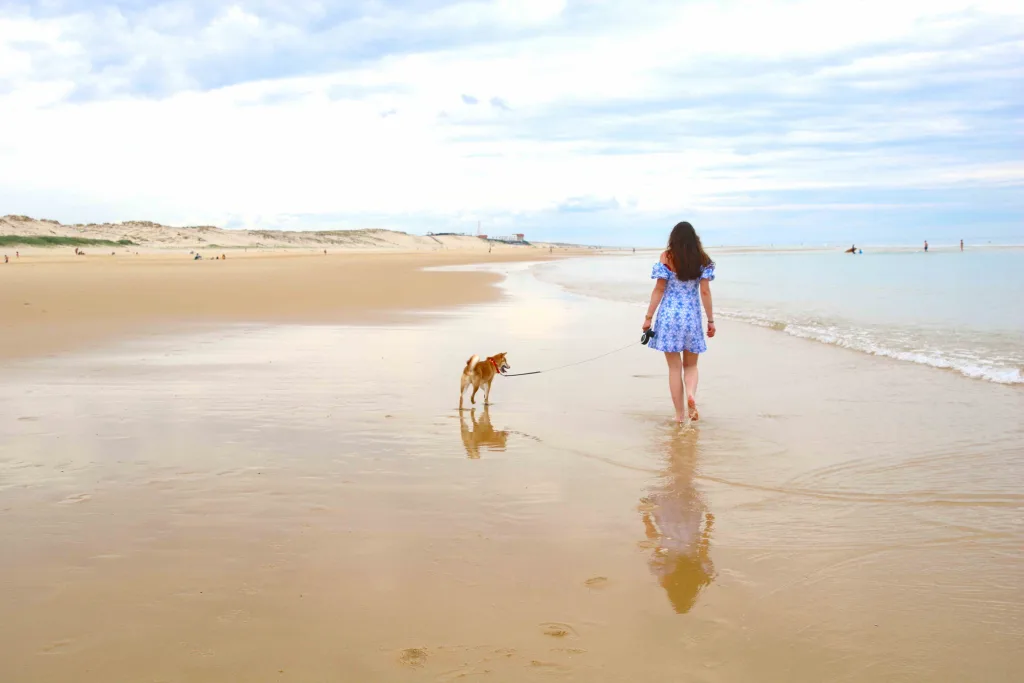 Plages landaises avec chiens autorisés