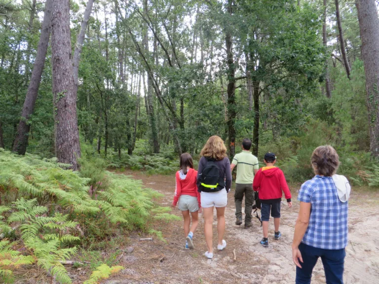 Photo de Explorez la forêt avec l’ONF