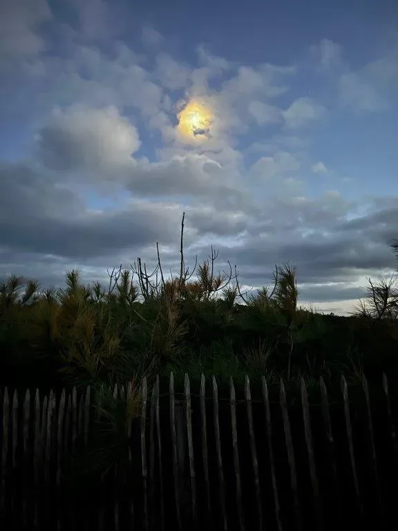 Photo de La balade nocturne : Mimizan  Bourg BY NIGHT !