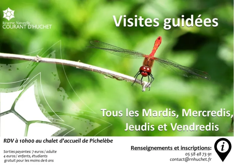 Photo de Partez à la découverte de la Réserve Naturelle du Courant d’Huchet