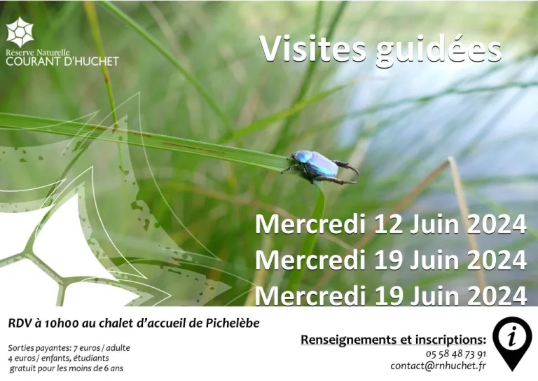Photo de Partez à la découverte de la Réserve Naturelle du Courant d’Huchet