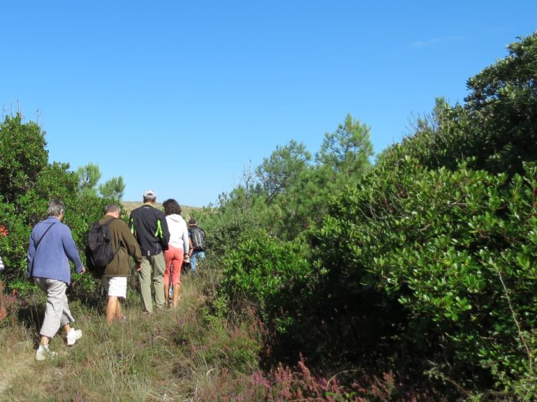 Photo de Explorez la dune avec l’ONF