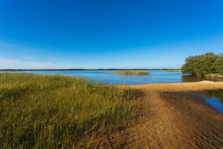 Photo de Marche découverte de l’environnement à Gastes