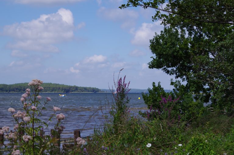 Photo de Balade nature – Entre lac et marais