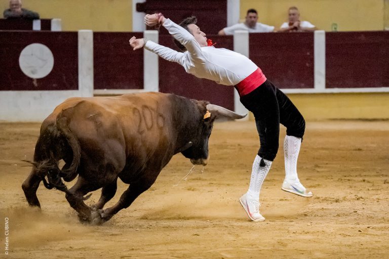 Photo de Feria Sen Bertomiu