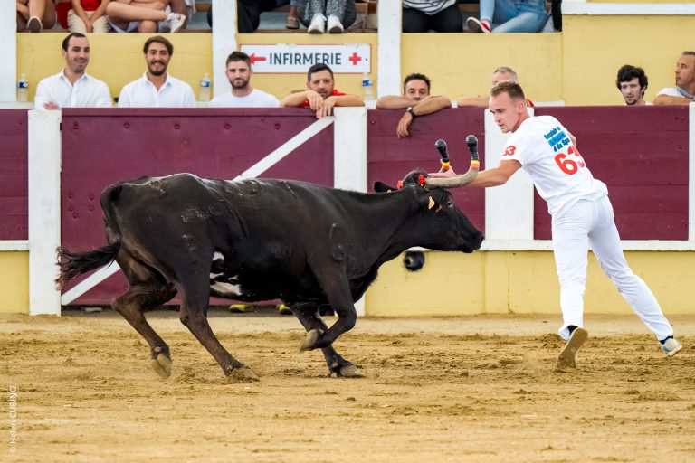 Photo de Feria Sen Bertomiu
