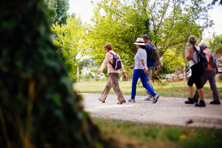 Photo de Marche découverte de l’environnement à Gastes