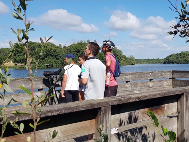 Photo de Découverte – Les araignées de l’Etang Noir