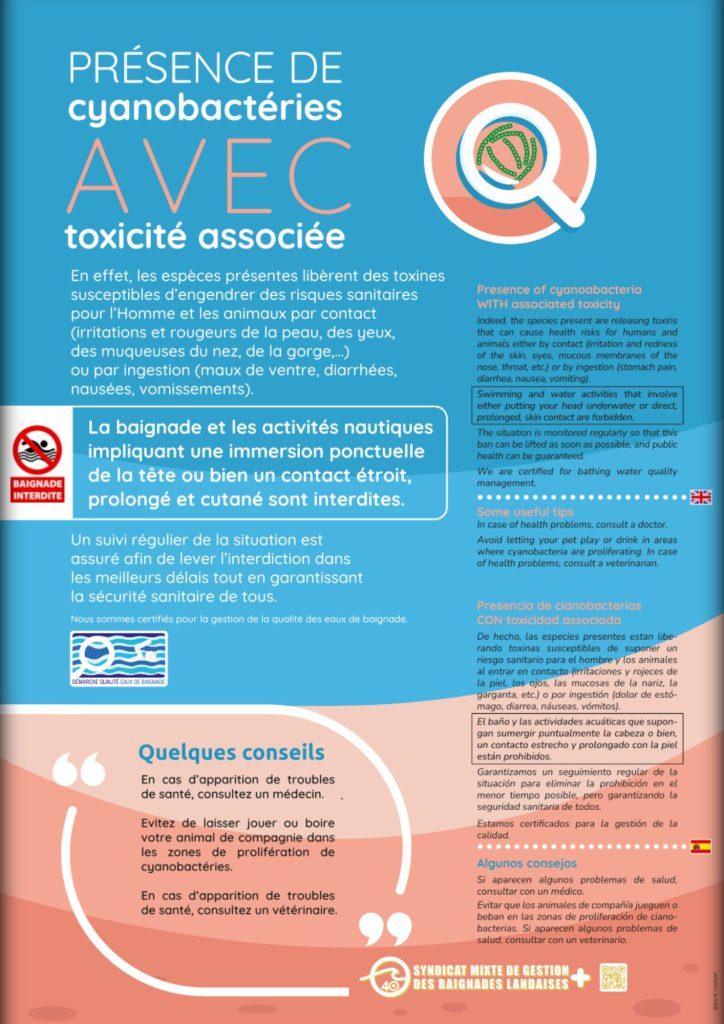 Présence de cyanobactéries avec toxicité associée