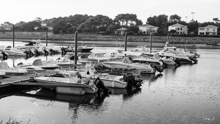 Photo de Sortie Pêche découverte