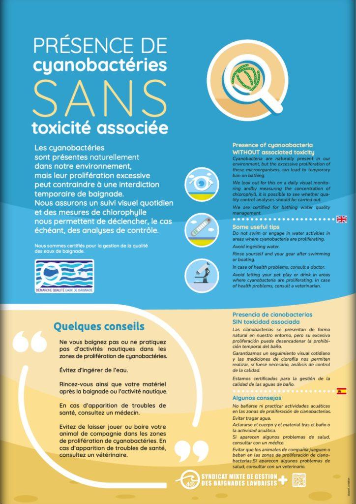 Présence de cyanobactéries sans toxicité associée