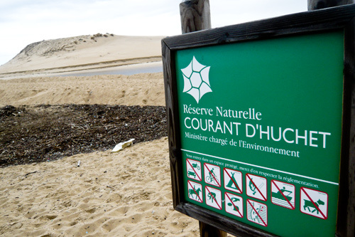 Photo de Partez à la découverte de la Réserve Naturelle du Courant d’Huchet