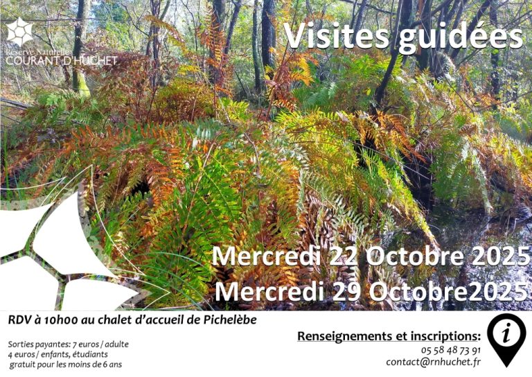 Photo de Partez à la découverte de la Réserve Naturelle du Courant d’Huchet