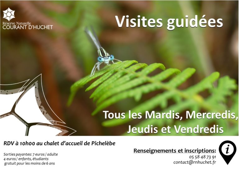 Photo de Partez à la découverte de la Réserve Naturelle du Courant d’Huchet