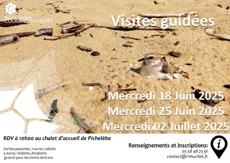Photo de Partez à la découverte de la Réserve Naturelle du Courant d’Huchet