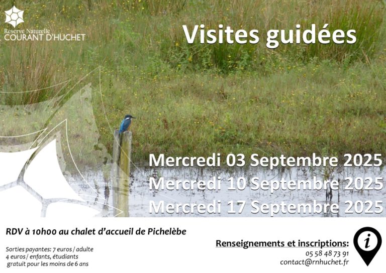 Photo de Partez à la découverte de la Réserve Naturelle du Courant d’Huchet
